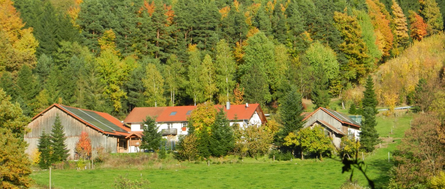 panoramabilder-simmerlhof-bayerischer-wald-bauernhofurlaub-herbsturlaub-1550